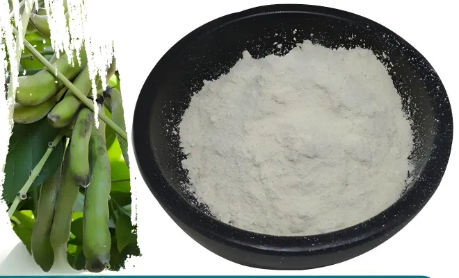 Mucuna Pruriens Extract Powder suppliers